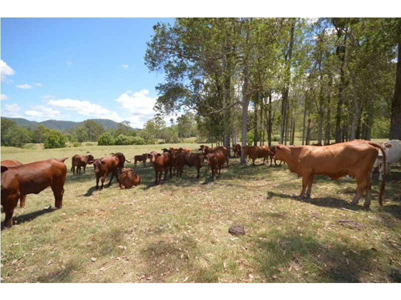 682 Eastern Mary River Road, Cambroon QLD 4552