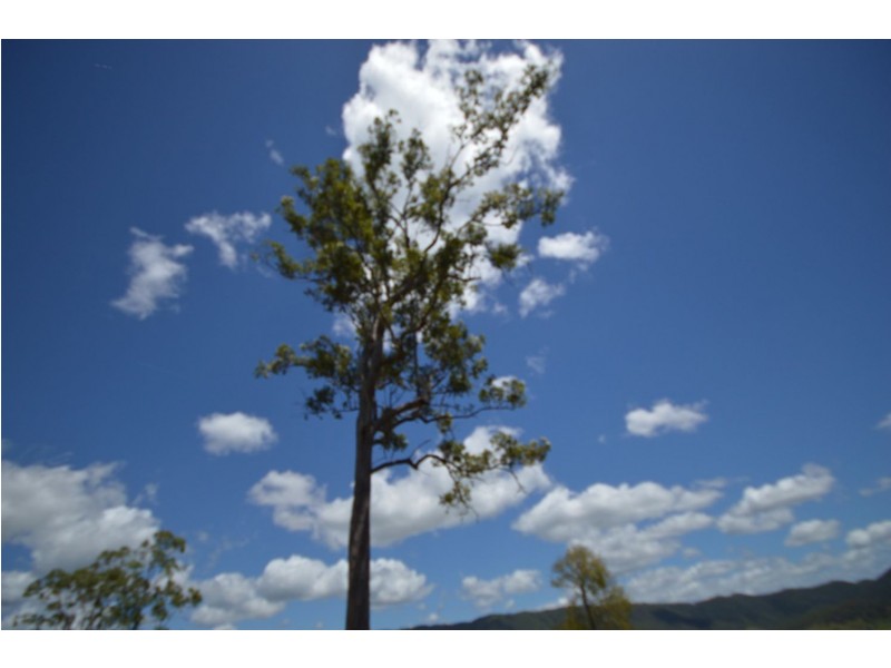 682 Eastern Mary River Road, Cambroon QLD 4552