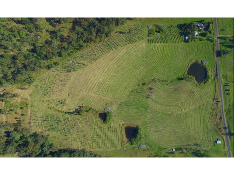 Cambroon QLD 4552