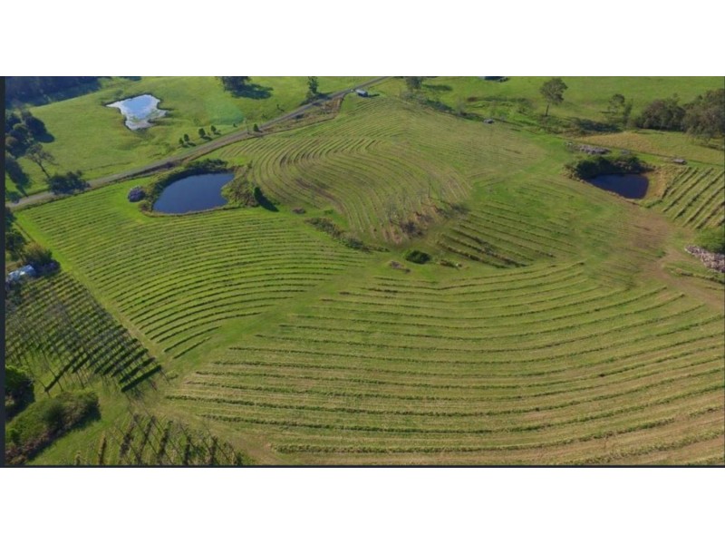 Cambroon QLD 4552