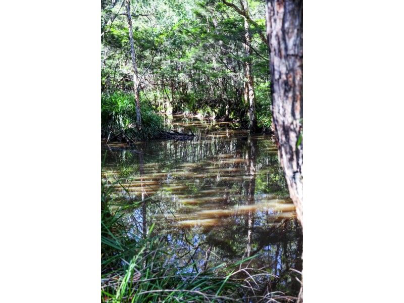 160 McCabe Road, Woodford QLD 4514