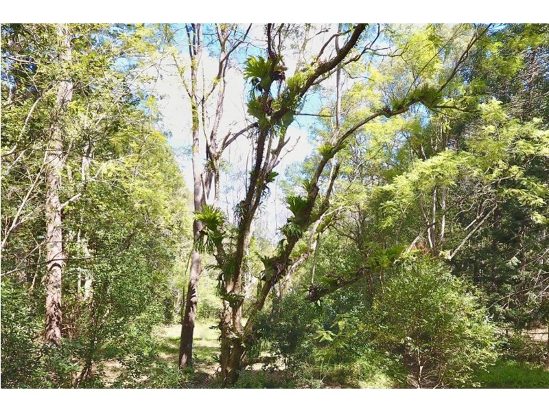 Obi Obi QLD 4574