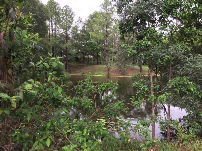 62 Old Mill Road, Carters Ridge QLD 4563