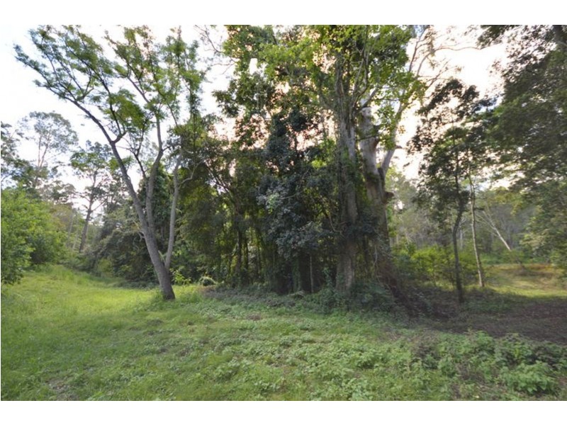 64 Aracuaria Creek Road, Brooloo QLD 4570