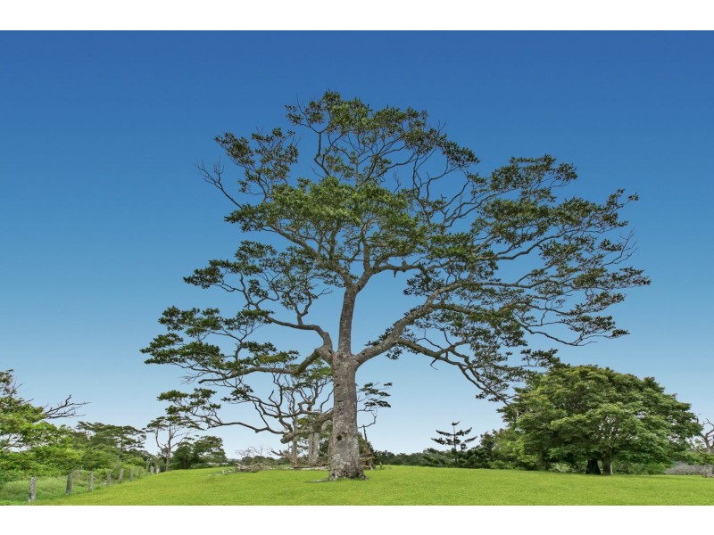 Lot 3 Landsborough Maleny Rd, Maleny QLD 4552