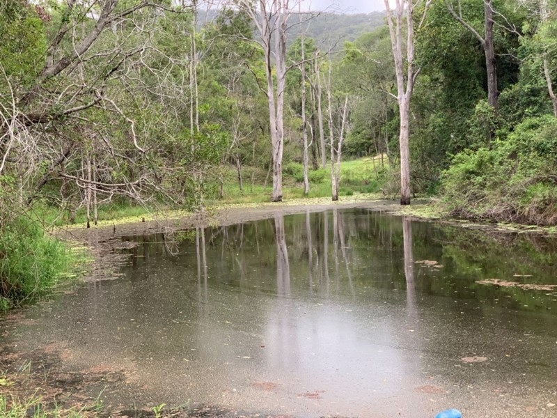 478 Moy Pocket Road, Moy Pocket QLD 4574