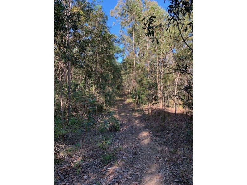 162 Boyle Road, Belli Park QLD 4562