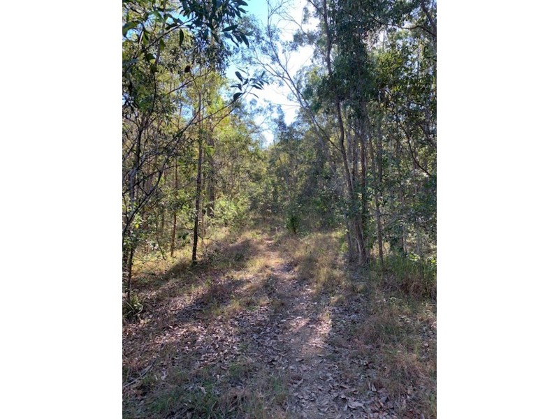 162 Boyle Road, Belli Park QLD 4562