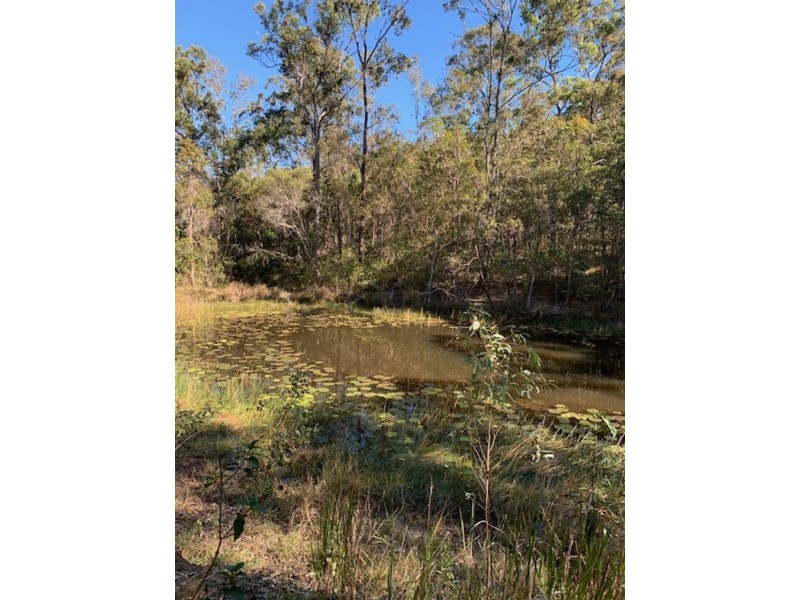 162 Boyle Road, Belli Park QLD 4562