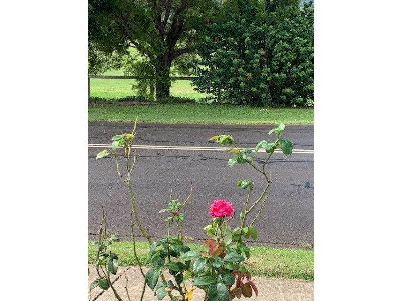 61 Elizabeth, Kenilworth QLD 4574