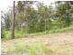 91 Tamlyn Road, Kenilworth QLD 4574