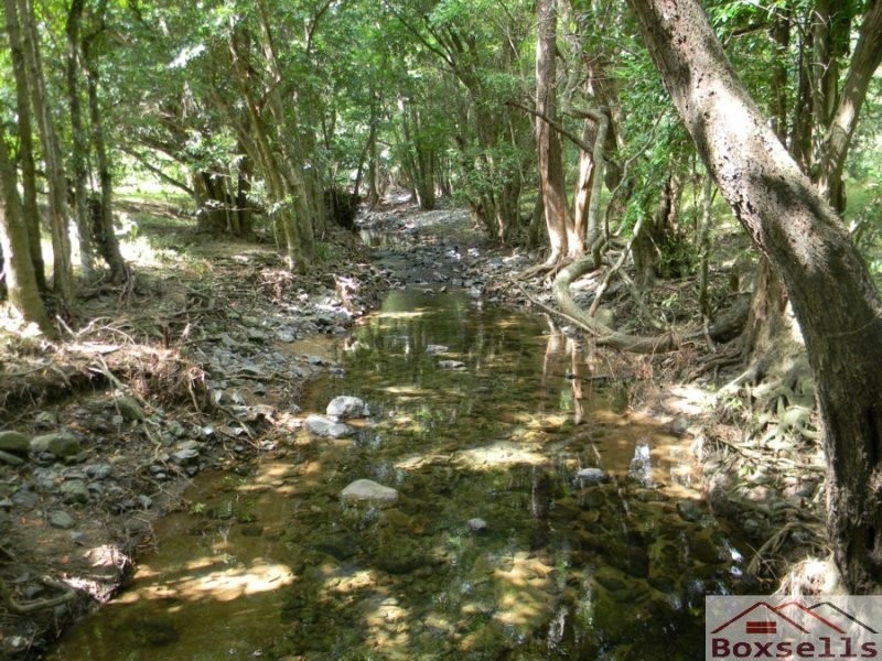 20 Sands Lane, Conondale QLD 4552