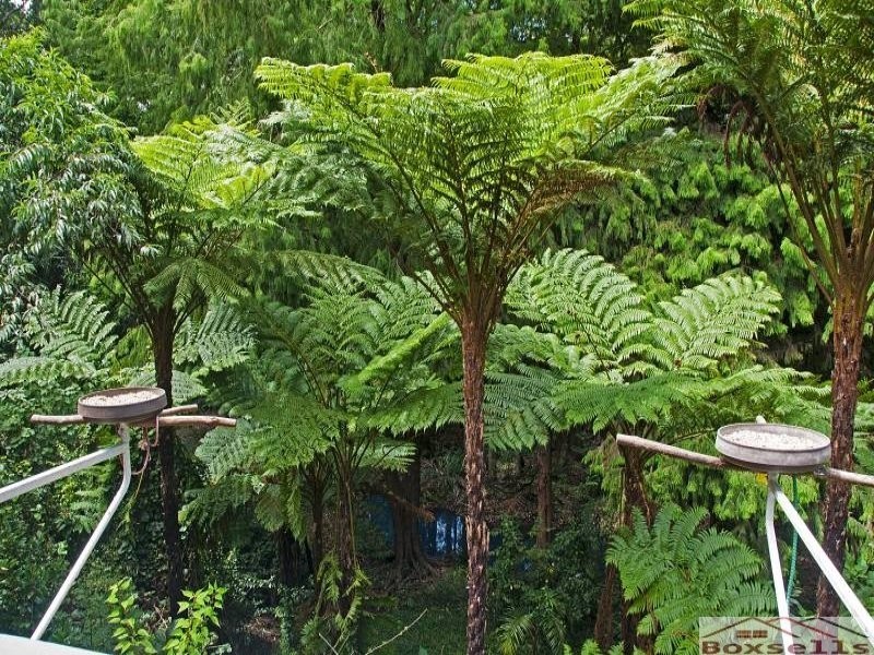 56 Gumland Drive, Maleny QLD 4552