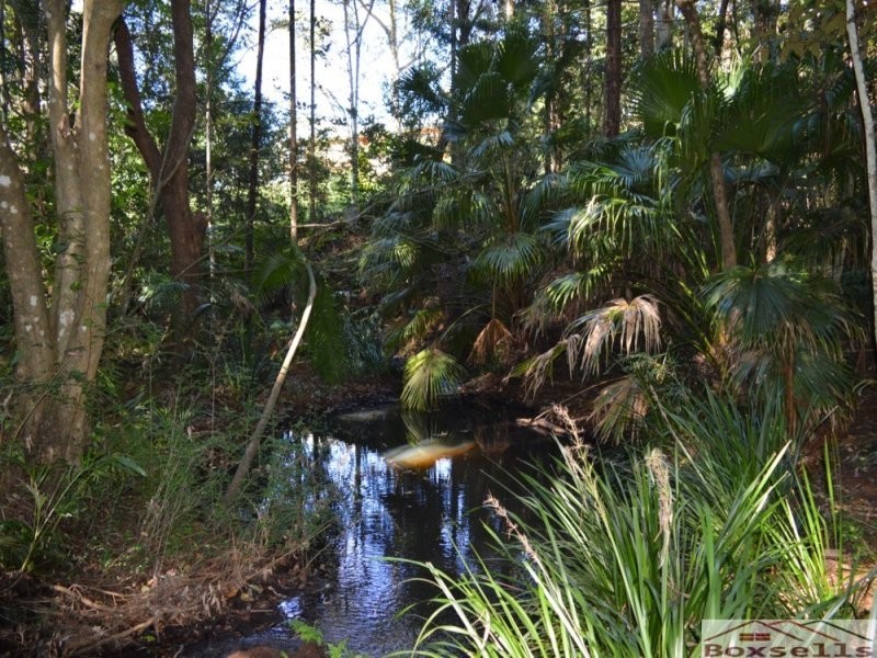 56 Gumland Drive, Maleny QLD 4552