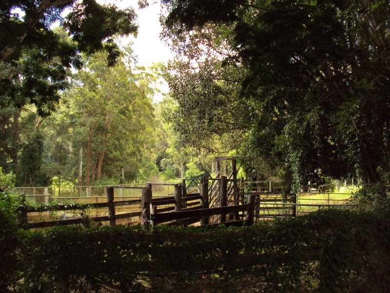 Delaneys Creek QLD 4514
