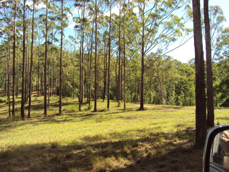 Lot 3 Maleny-Stanley River Rd, Booroobin QLD 4552