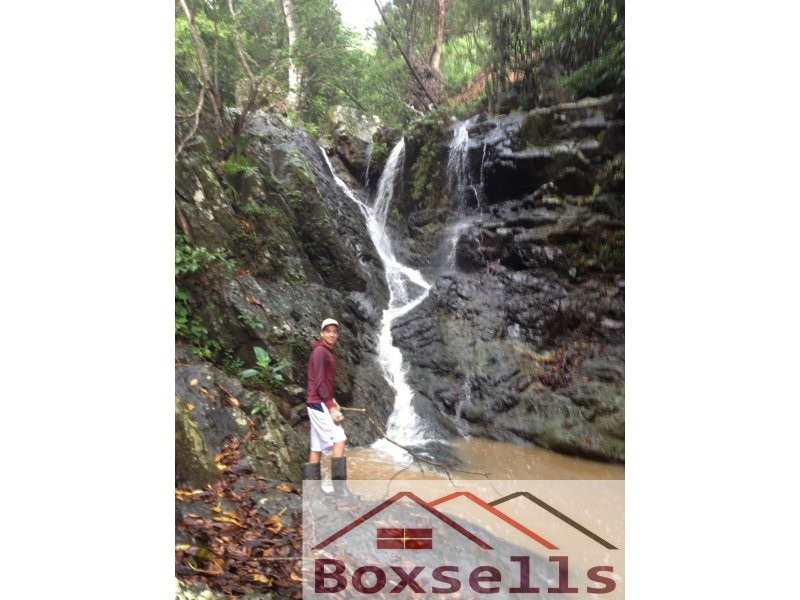 104 Oxenham Lane, Maleny QLD 4552