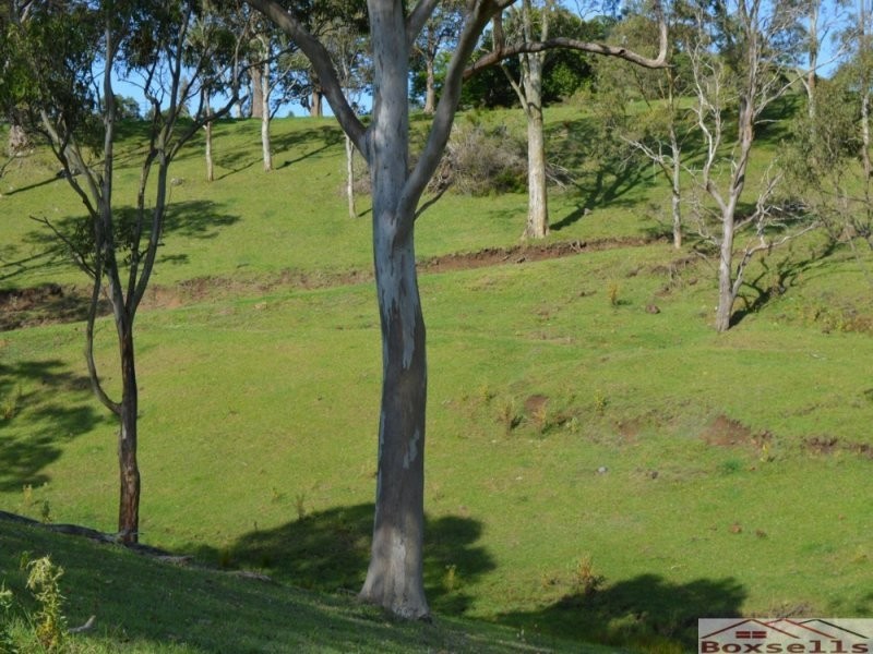 870 Bald Knob Road, Maleny QLD 4552