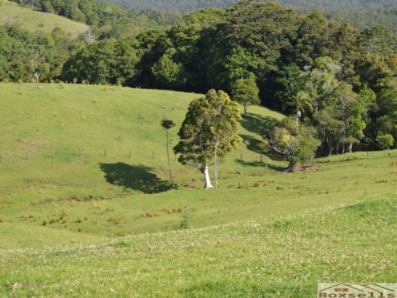 870 Bald Knob Road, Maleny QLD 4552