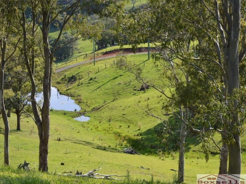 870 Bald Knob Road, Maleny QLD 4552