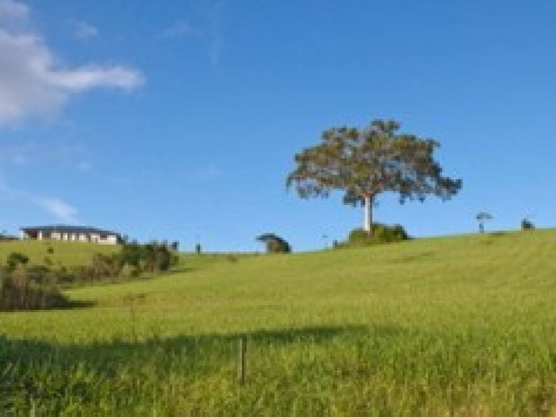 Maleny QLD 4552