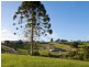 Maleny QLD 4552