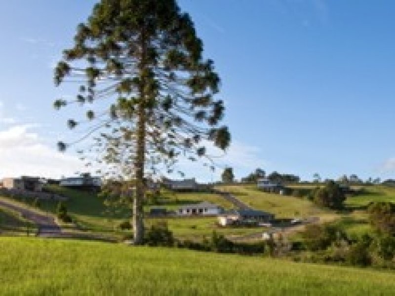 Maleny QLD 4552