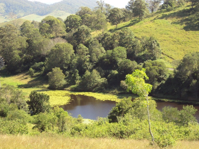 Lot 2 D’aguilar Highway, Sandy Creek QLD 4515