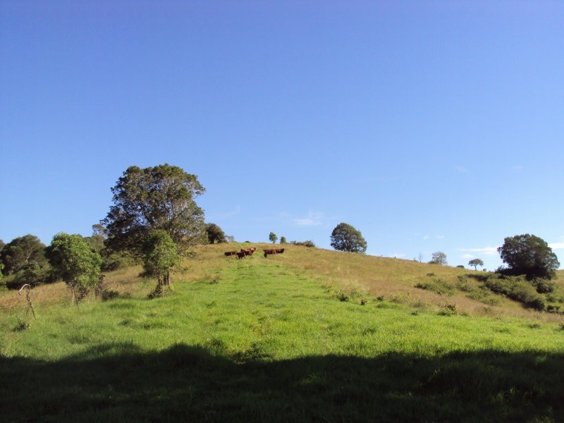 Lot 2 D’aguilar Highway, Sandy Creek QLD 4515