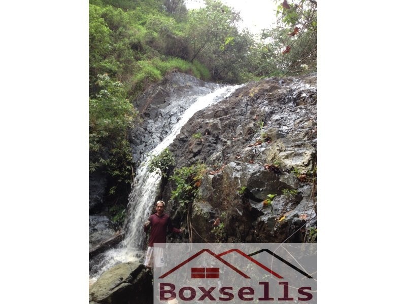 Oxenham Lane, Maleny QLD 4552