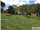 Oxenham Lane, Maleny QLD 4552