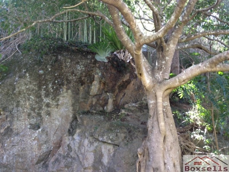 Oxenham Lane, Maleny QLD 4552