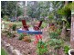 44 Mapleton Forest Road, Mapleton QLD 4560