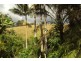 Delaneys Creek QLD 4514