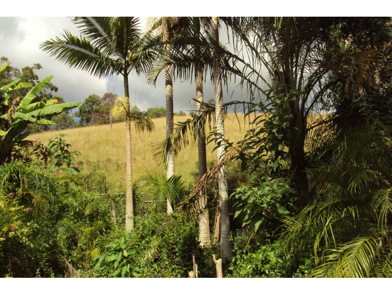 Delaneys Creek QLD 4514