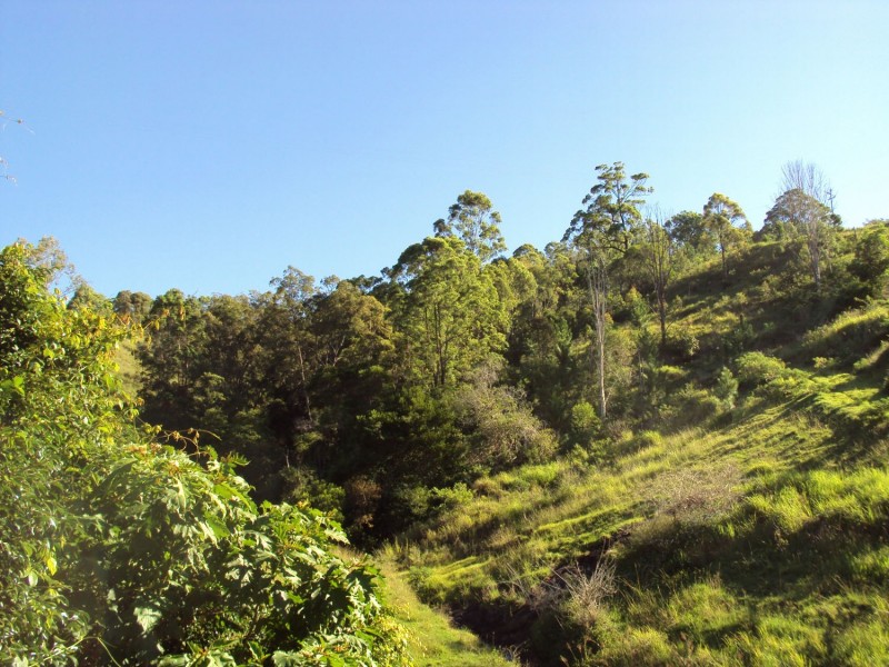 Delaneys Creek QLD 4514