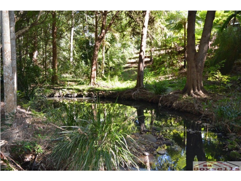 Witta QLD 4552