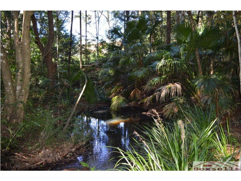 Witta QLD 4552