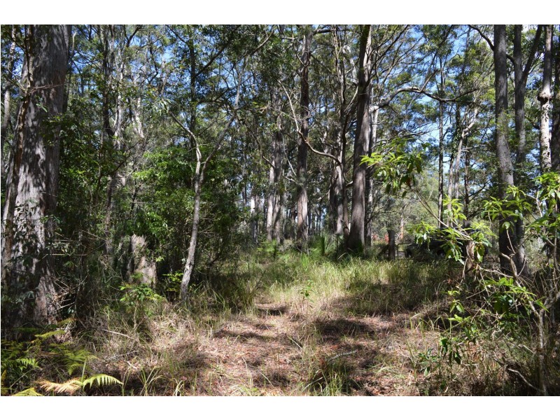0 Curramore Road, Curramore QLD 4552