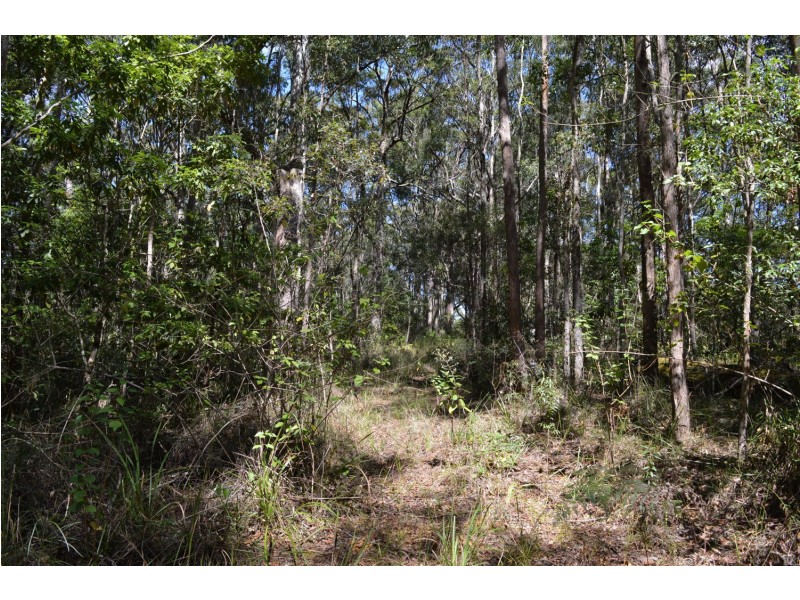 0 Curramore Road, Curramore QLD 4552
