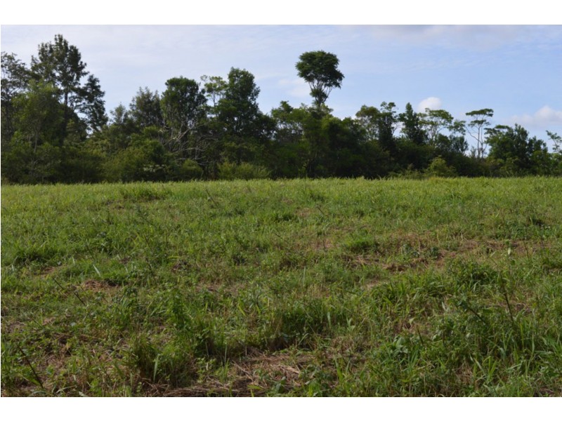 62 Burgess Avenue, Maleny QLD 4552