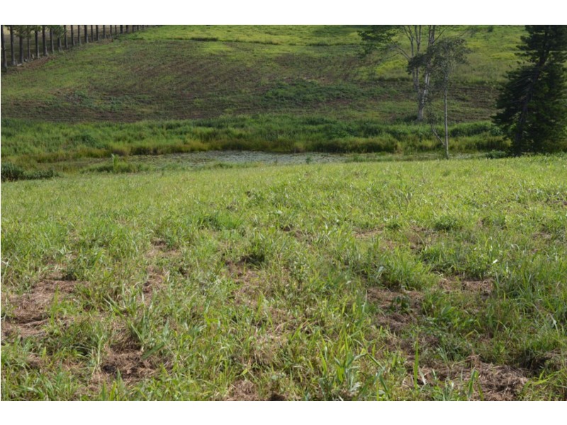 62 Burgess Avenue, Maleny QLD 4552