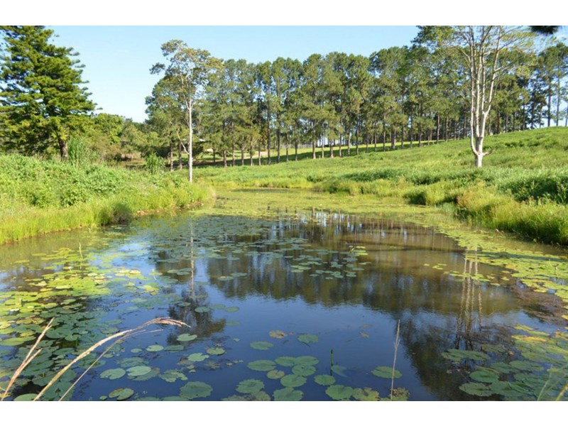 62 Burgess Avenue, Maleny QLD 4552