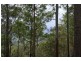 L179 Kilcoy Lane, Conondale QLD 4552