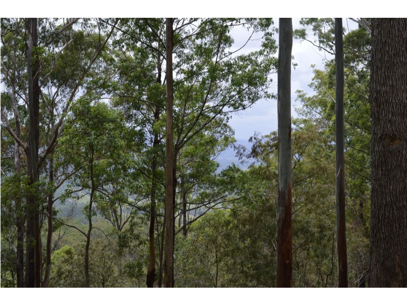 L179 Kilcoy Lane, Conondale QLD 4552
