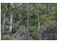 L179 Kilcoy Lane, Conondale QLD 4552