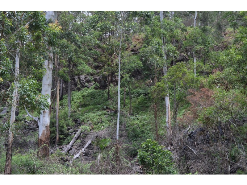 L179 Kilcoy Lane, Conondale QLD 4552