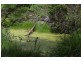 L179 Kilcoy Lane, Conondale QLD 4552