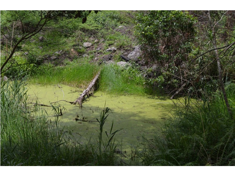 L179 Kilcoy Lane, Conondale QLD 4552