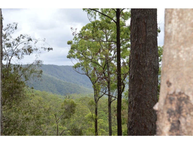 L179 Kilcoy Lane, Conondale QLD 4552